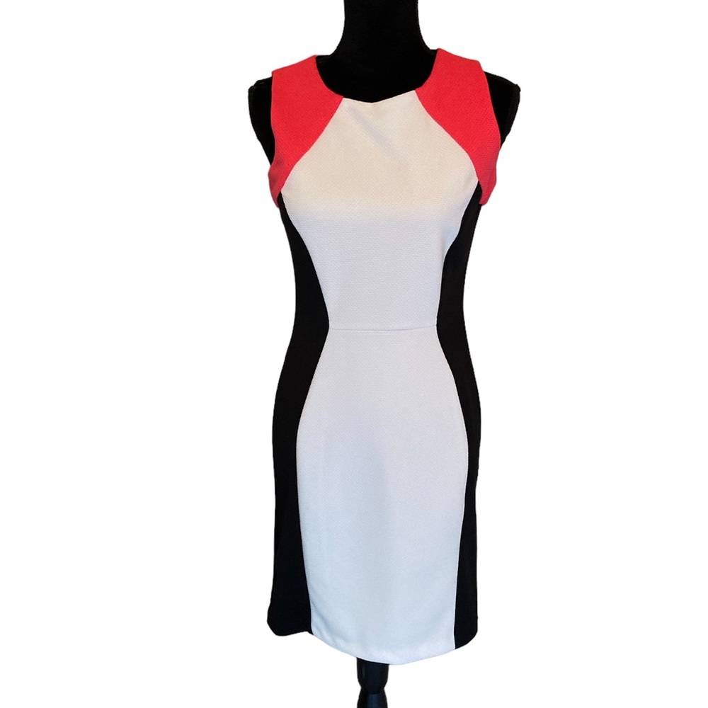 RN Studios Blocked Sheath Dress